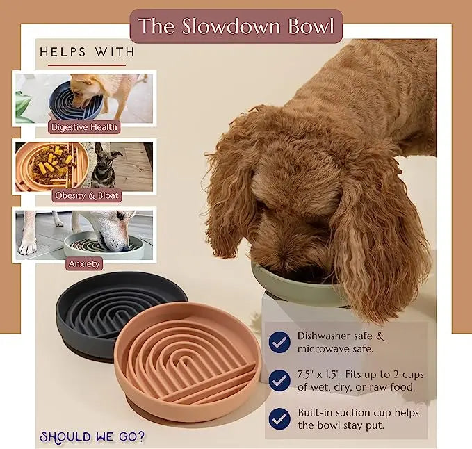 Pet Supplies Slow Food Bowl Cat Anti-Knockover Antiderrapante Tigela de Comida Filhote de Cachorro Anti-engasgo Silicone Brinquedo Prato de Comida