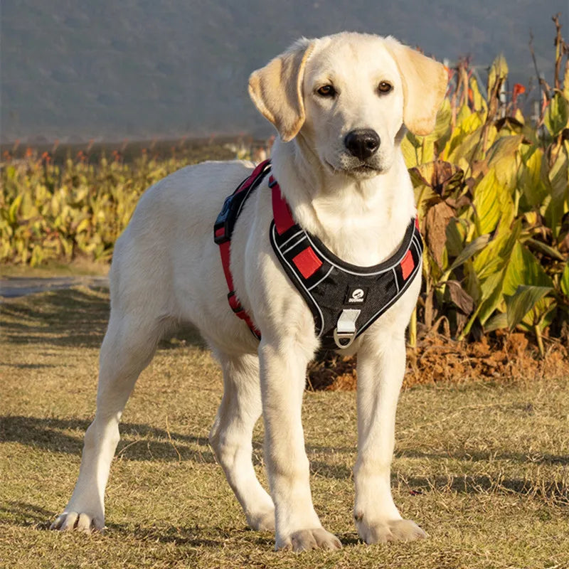 Arnês ajustável para cães, colete de segurança reflexivo para treinamento, caminhada, peito, coleira para buldogue francês, animais de estimação, acessórios para cães