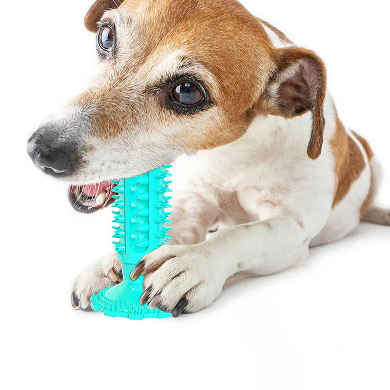 Brinquedo para cães de estimação Haltere de fonação interativo para cães pequenos e grandes Brinquedos para mastigar gatos e filhotes Limpeza de dentes de animais de estimação Artigo indestrutível