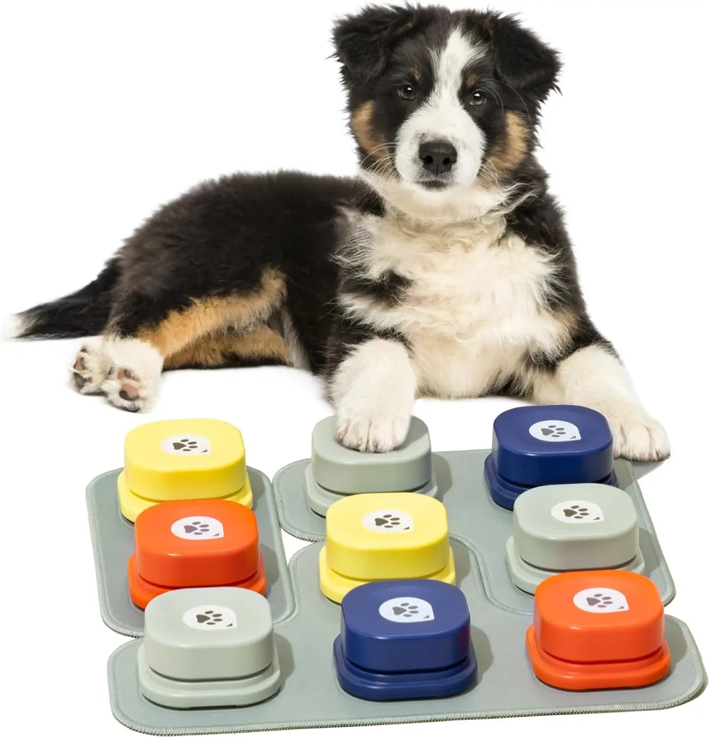 MEWOOFUN Dog Button Record Talking Pet Communication Vocal Training Interactive Toy Bell Ringer With Pad and Sticker Easy To Use