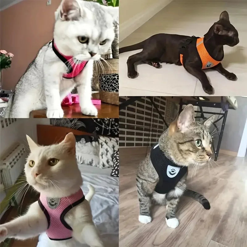 Arnês de malha respirável para gatos e cães pequenos, coleira e coleira para gatinhos, arreios para cães pequenos, arreios para filhotes de cachorro, buldogue francês, chihuahua e pug